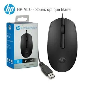 [0504] SOURIS HP M10